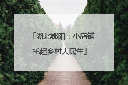 湖北郧阳：小店铺托起乡村大民生