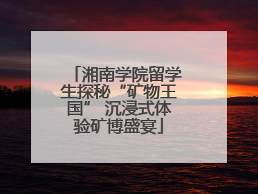 湘南学院留学生探秘“矿物王国” 沉浸式体验矿博盛宴