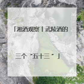 湘酒观察丨武陵酒的三个“五十三 ”