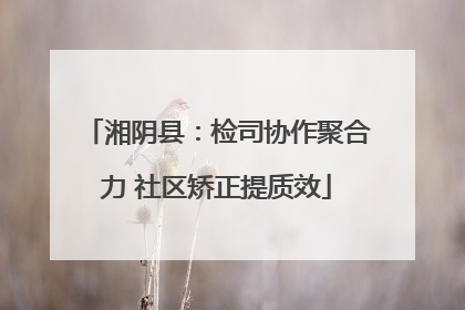 湘阴县：检司协作聚合力 社区矫正提质效