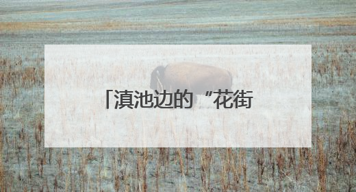 滇池边的“花街宴”火热开席 昆明夏天最潮的打开方式来了