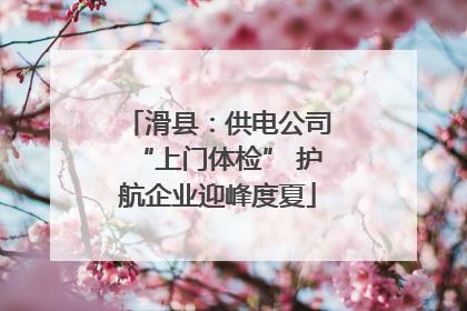 滑县：供电公司“上门体检” 护航企业迎峰度夏