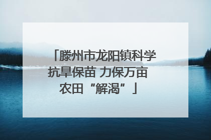 滕州市龙阳镇科学抗旱保苗 力保万亩农田“解渴”
