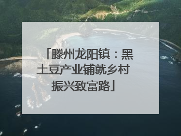 滕州龙阳镇：黑土豆产业铺就乡村振兴致富路