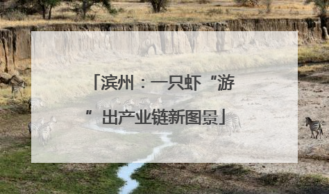 滨州：一只虾“游”出产业链新图景