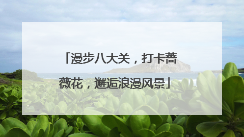 漫步八大关，打卡蔷薇花，邂逅浪漫风景