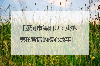 漯河市舞阳县：卖桃男孩背后的暖心故事