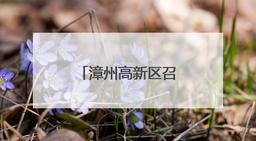 漳州高新区召开九龙江流域治理专题会