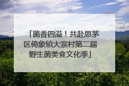 菌香四溢！共赴思茅区倚象镇大寨村第二届野生菌美食文化季
