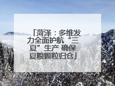 菏泽：多维发力全面护航“三夏”生产 确保夏粮颗粒归仓