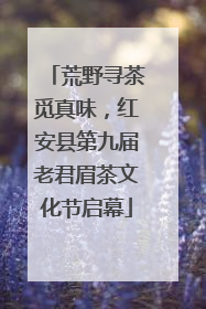 荒野寻茶觅真味，红安县第九届老君眉茶文化节启幕