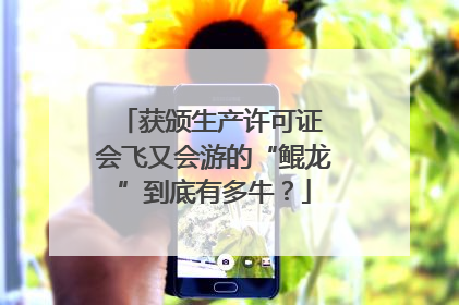 获颁生产许可证 会飞又会游的“鲲龙”到底有多牛？