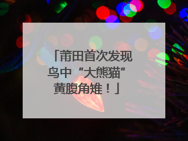 莆田首次发现鸟中“大熊猫”黄腹角雉！