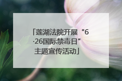 莲湖法院开展“6·26国际禁毒日”主题宣传活动