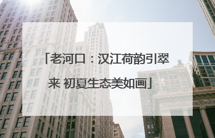老河口：汉江荷韵引翠来 初夏生态美如画