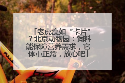 老虎瘦如“卡片”？北京动物园：饲料能保障营养需求，它体重正常，放心吧