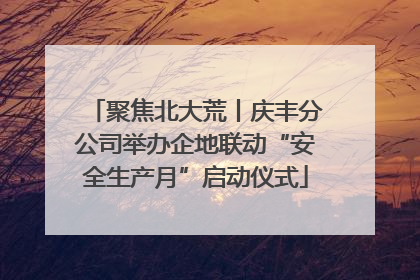 聚焦北大荒丨庆丰分公司举办企地联动“安全生产月”启动仪式