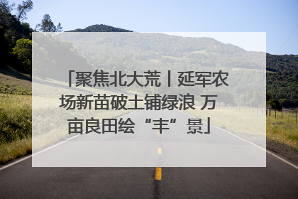 聚焦北大荒丨延军农场新苗破土铺绿浪 万亩良田绘“丰”景
