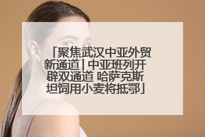 聚焦武汉中亚外贸新通道│中亚班列开辟双通道 哈萨克斯坦饲用小麦将抵鄂