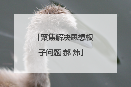 聚焦解决思想根子问题 郝 炜