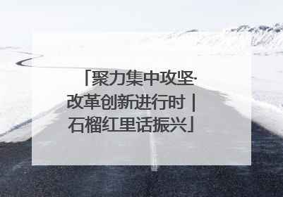 聚力集中攻坚·改革创新进行时｜石榴红里话振兴