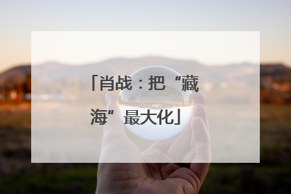 肖战：把“藏海”最大化