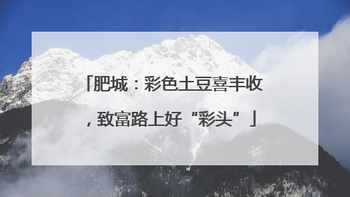 肥城：彩色土豆喜丰收，致富路上好“彩头”