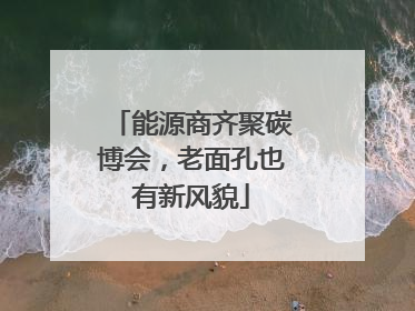 能源商齐聚碳博会，老面孔也有新风貌