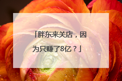胖东来关店，因为只赚了8亿？