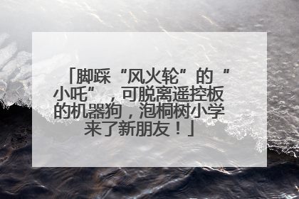 脚踩“风火轮”的“小吒”，可脱离遥控板的机器狗，泡桐树小学来了新朋友！