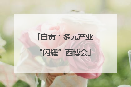 自贡：多元产业“闪耀”西博会