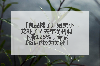 良品铺子开始卖小龙虾了？去年净利润下滑125%，专家称转型极为关键