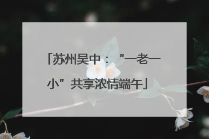 苏州吴中：“一老一小”共享浓情端午