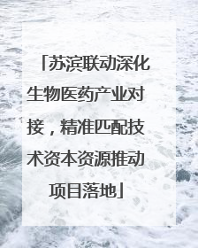 苏滨联动深化生物医药产业对接，精准匹配技术资本资源推动项目落地
