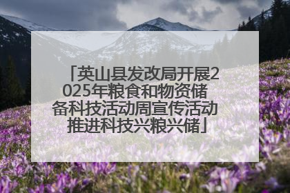 英山县发改局开展2025年粮食和物资储备科技活动周宣传活动 推进科技兴粮兴储