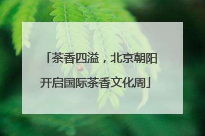 茶香四溢，北京朝阳开启国际茶香文化周