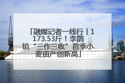 融媒记者一线行丨1173.53斤！李鹊镇“三作三收”首季小麦亩产创新高