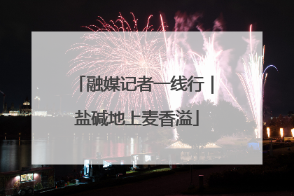 融媒记者一线行｜盐碱地上麦香溢