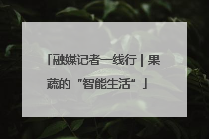 融媒记者一线行｜果蔬的“智能生活”
