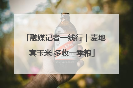 融媒记者一线行｜麦地套玉米 多收一季粮