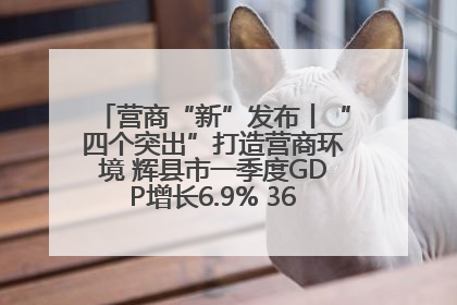 营商“新”发布丨“四个突出”打造营商环境 辉县市一季度GDP增长6.9% 36个重点项目落地