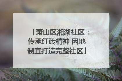 萧山区湘湖社区：传承红砖精神 因地制宜打造完整社区