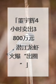 董宇辉4小时卖出3800万元，潜江龙虾火爆“出圈”