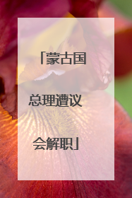 蒙古国总理遭议会解职