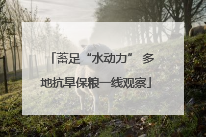 蓄足“水动力” 多地抗旱保粮一线观察