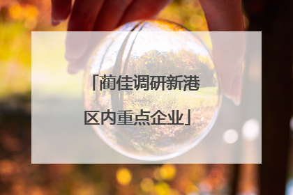 蔺佳调研新港区内重点企业