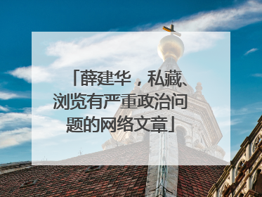 薛建华，私藏、浏览有严重政治问题的网络文章