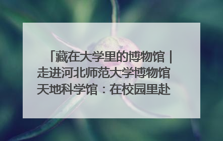藏在大学里的博物馆｜走进河北师范大学博物馆天地科学馆：在校园里赴一场“宇宙之约”