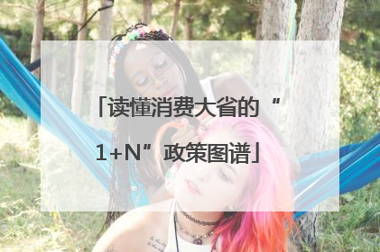 读懂消费大省的“1+N”政策图谱