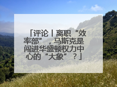 评论丨离职“效率部”，马斯克是闯进华盛顿权力中心的“大象”？
